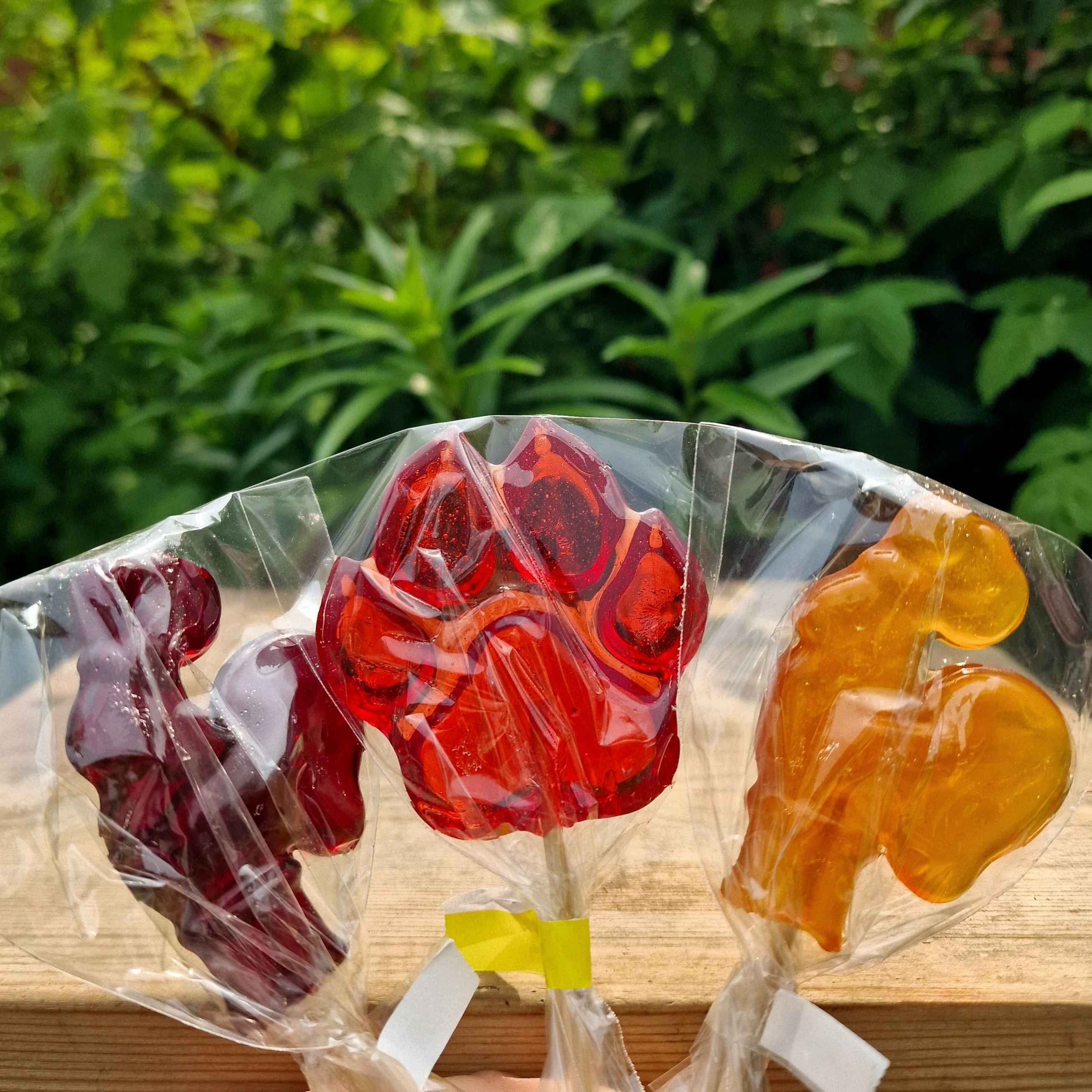 Karameles uz kociņa Berry Wind