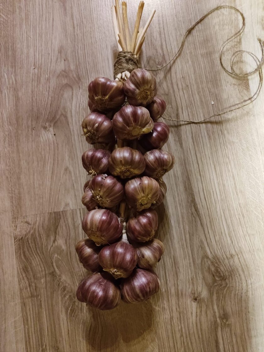 Ziemas ķiploki „Ziemas agrie”, 1 kg