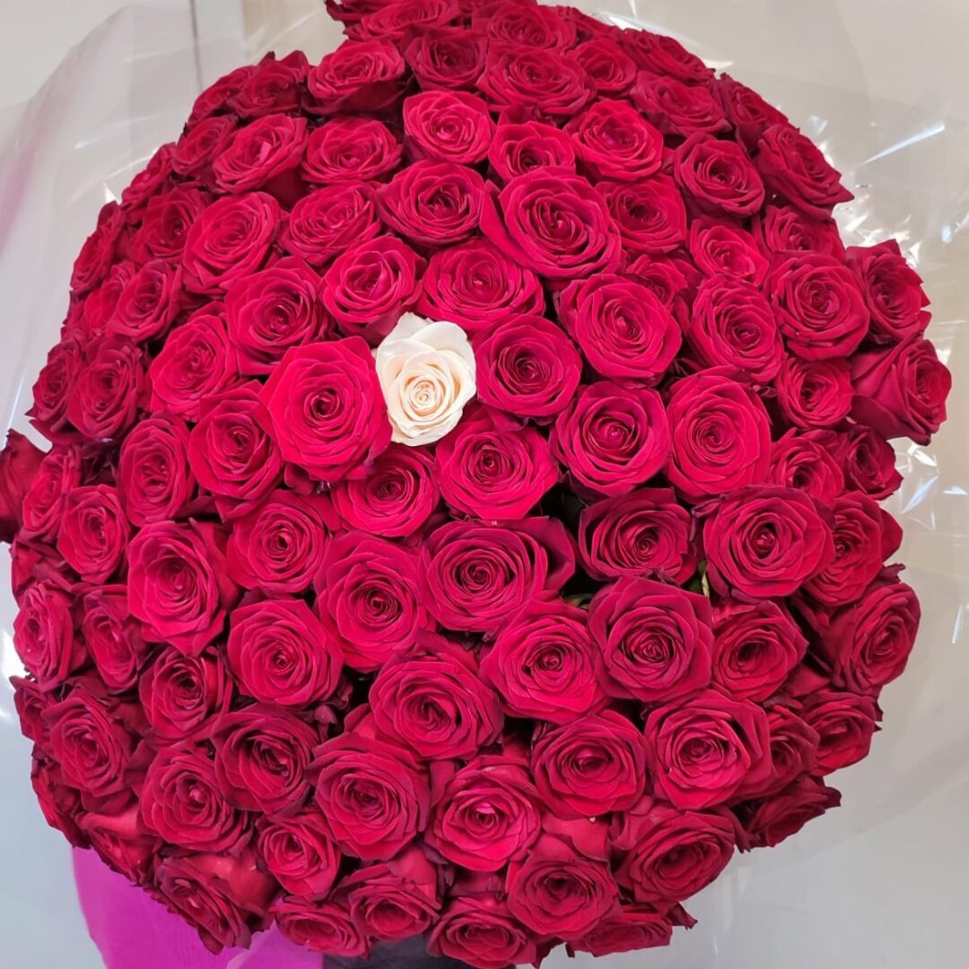 Ziedu pušķis, rozes, 101 gab., sarkanā krāsā