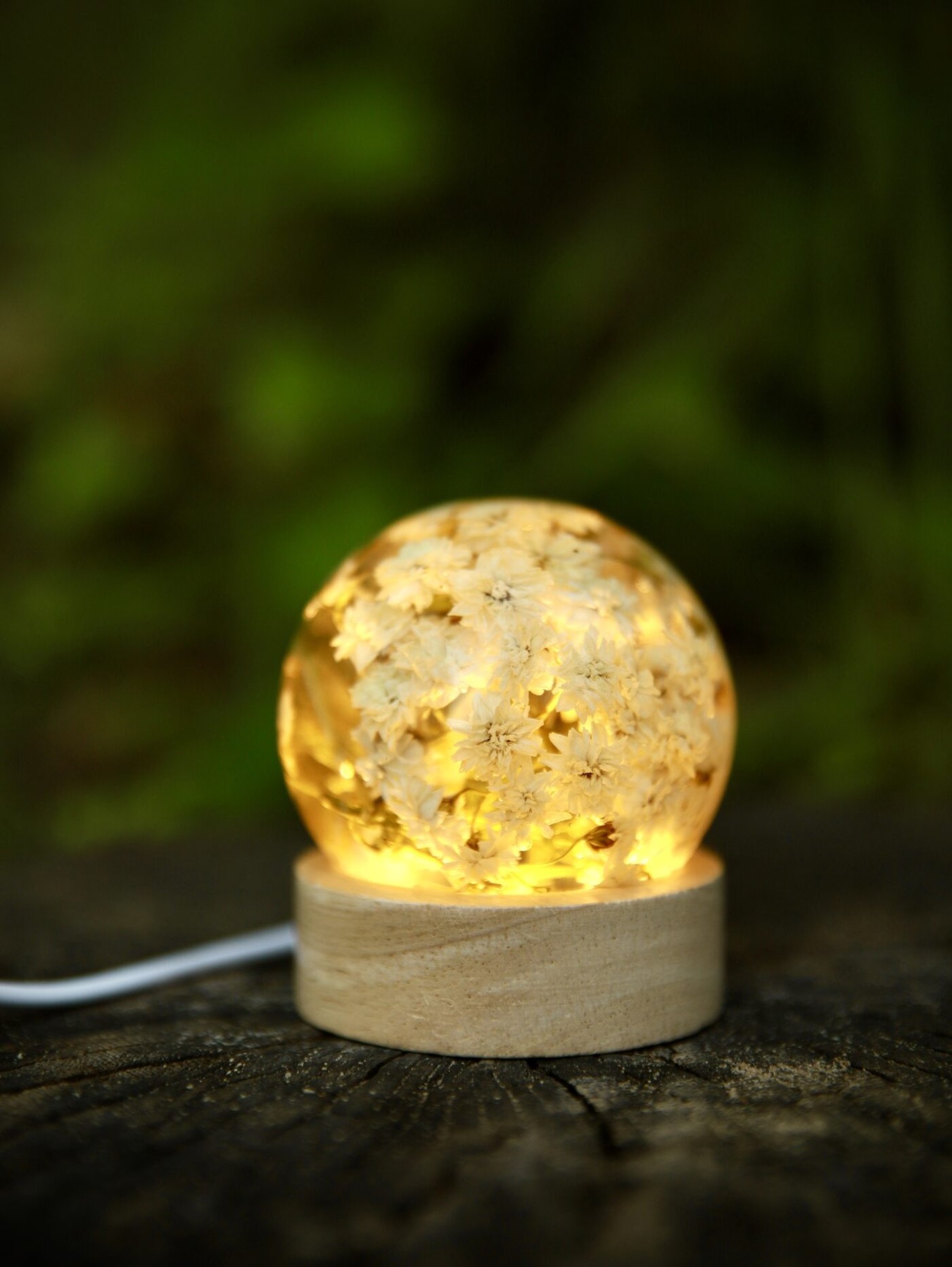 Galda lampa SpiiidBotanics, silti balta, oranžā krāsā